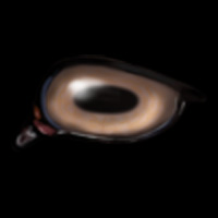Cocoa