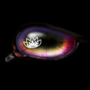 July Waterlily