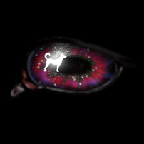 May Dog