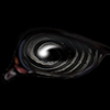September Liquorice Twist