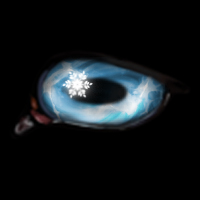 Winter Snowflake 2015