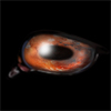 April Mars