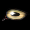 June Saturn