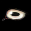 June Pearl