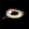 October Opal
