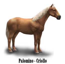 common