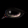 SL14 Birthday