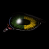 Oregon Ducks -- Mar