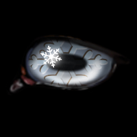 Snowflake--Jan