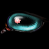 Liebe Blume 2019
