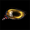 ~L~ Gold