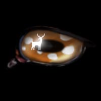 Fawn -- April
