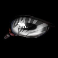 Tiger -- June