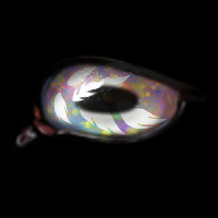 Opal Shimmer