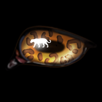 Jaguar -- Nov