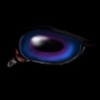 Midnight Violet