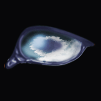 Elemental Air