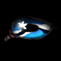 Bluejay