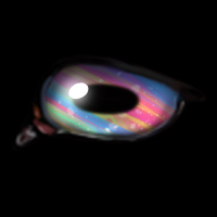 Easter Egg -- Apr23