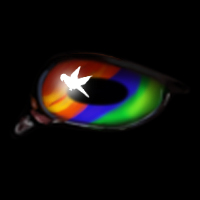 Rainbow Lorikeet