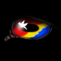 Scarlet Macaw