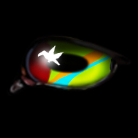 Toucan