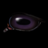 Night Violet