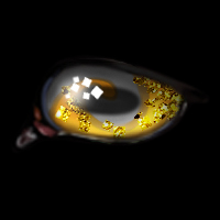 Silver and Gold -- Dec23