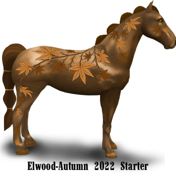 Autumn 2022 Starters_Elwood